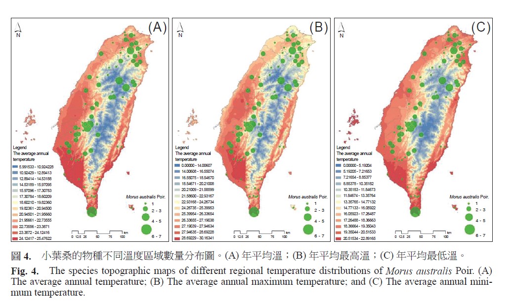 The species topographic maps of different regional temperature distributions of Morus australis Poir. (A) The average annual temperature、 (B) The average annual maximum temperature、 and (C) The average annual minimum temperature.